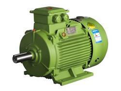 東莞電機(jī)丨高壓電機(jī)滾動軸承異常分析圖片|東莞電機(jī)丨高壓電機(jī)滾動軸承異常分析產(chǎn)品圖片由東莞電機(jī)廠公司生產(chǎn)提供-