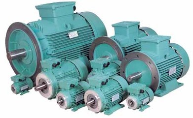 菏澤恒通牧業生產供應奶山羊