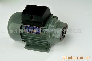 臺州市天元電機(jī)泵業(yè)制造 專業(yè)電動機(jī)制造商